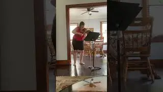 #100daysofpractice#violin#7#violinist 