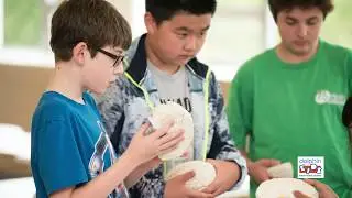 Dolphin Kids - Achievement Mindset