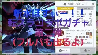 【SAOIF】金返せ！斬水のチェインが当たらねぇ！