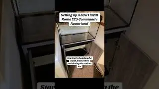 Setting up a new Fluval Roma 125 Community Aquarium! #fish #aquarium #aquascape #plants #shorts