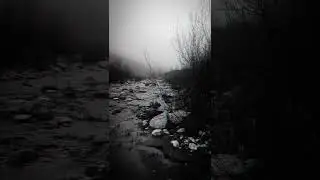 DIANADEA- OSCURA MEFITIS( wood version)