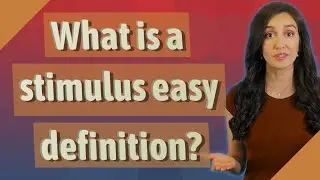 What is a stimulus easy definition?