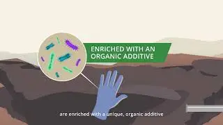 What's the process of biodegradation? Mineralisation Explained | Avalon | MUN Australia