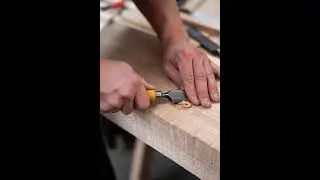 #shorts #work #forestry #craft #handmade #timber #logging #nature #outdoors #woodworking #chainsaw