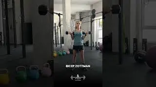 Bicep zottman curls