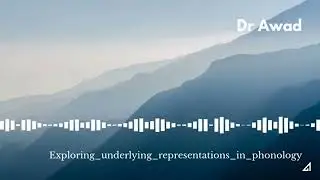 Discussion - Underlying Representations in Phonology