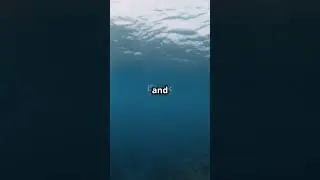 How Do Earthquakes Create Tsunamis 🌊