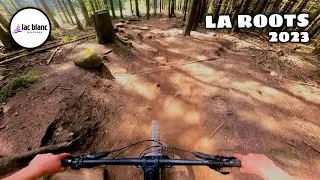 Piste Rouge : LA ROOTS - LAC BLANC BIKEPARK 2023 (RAW)