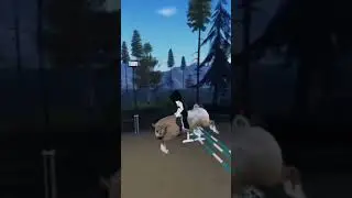 bareback and bridless??? #roblox #horse #hobbyhorsing #fypシ