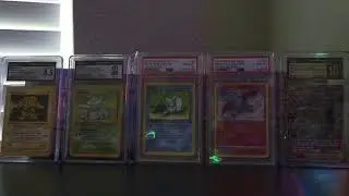 WORLD RECORD RIPS!!! SURGING SPARKS- POKEMON Z-A SHINY HUNTING- CHEER, VIBE- LIKE, SHARE, SUBSCRIBE