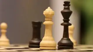 Cyberfeminism: AI and Diplomacy