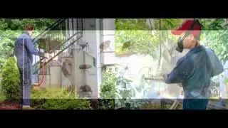 Best and Fastest Way Of Pest,Rodent Control company In Sydney