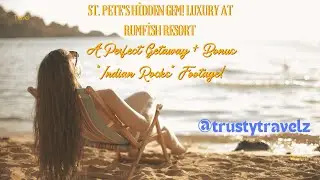St. Pete's Hidden Gem! Luxury at Rumfish Resort - A Perfect Getaway + Bonus 