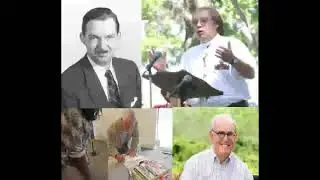 Redemption Stories