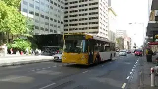 Buses on Grenfell St