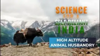 Science for a Self-Reliant India: High Altitude Animal Husbandry