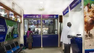 Bukoola vet the Finest In Veterinary Care