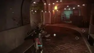 Free Trials Carrys