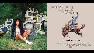 Where She Loves - SZA vs. Bad Bunny (Mashup)
