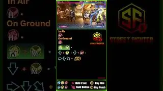 SF6 Terry Combo