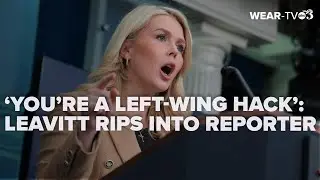 'You're a left wing hack': Leavitt rips into reporter in defense of ICE officers