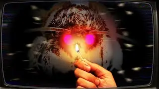 My Dad Did WHAT With A Moth?! | Moth House