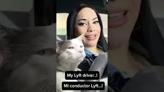 Les presento mi Lyft driver&hellip;! 🐈🏎️🌺#yalix29 #yalixbeauty29 #yalix29traveladvisor #memes