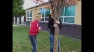 The Math Fairy