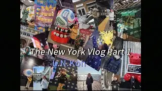 The New York Vlog Part 1