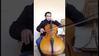 11. Allegretto. Suzuki cello book 1