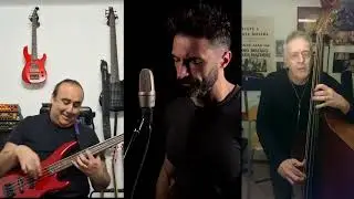 Take a walk on the wild side - Bass vs Voice Feat Massimo Moriconi