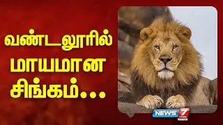 வண்டலூரில் மாயமான சிங்கம் | Vandalur Zoo | Lion | Missing | News 7 Tamil Prime