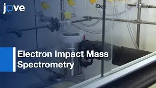 Analysis Of Volatile & Oxidation Sensitive Compounds Using Cold Inlet System l Protocol Preview