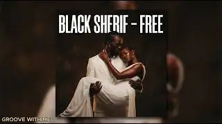 Black sherif-Free(off the new Album)