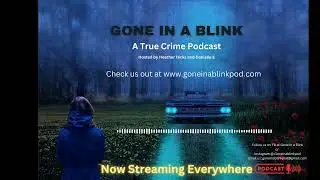 What Happened to Morgan Nick - Gone in a Blink Podcast