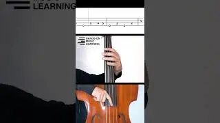 Country Roads Bass Line on Double Bass | John Denver