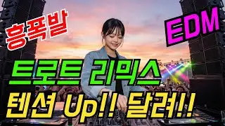 EDM퓨전🔥고속도로메들리 트로트리믹스 클럽믹스 모음 | 최신트로트 | 트로트메들리