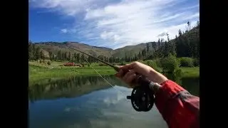 Cow Creek Ranch is New Mexico True