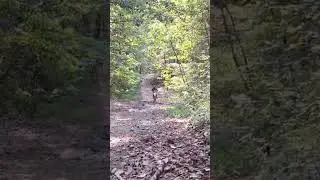 First Air on the 2024 KTM 890 Adventure R