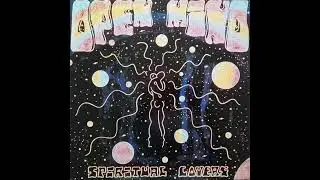 Open Mind - Something's Wrong