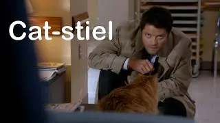 Castiel and Cats | Supernatural Crack Edit