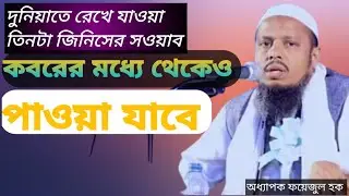 কোন তিনটা জিনিস রেখে গেলে কবরে সহয়াব পাওয়া যায় শুনুন 