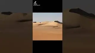 Egyptian vision الرؤية المصرية