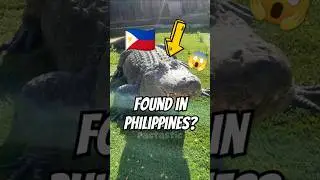 САМЫЙ БОЛЬШОЙ КРОКОДИЛ В МИРЕ!🐊😱