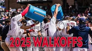 Every IronPigs Walk-off from the 2025 Season!