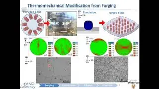 Improvement of Fatigue Properties of AZ31B Extruded Magnesium Alloy through Forging