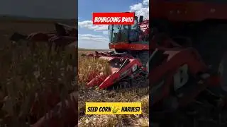 The new BOURGOING B410 #seed #corn #harvest in Turkey 🇹🇷 #farming #cornharvester #hybridcorn