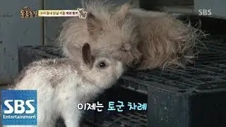 토끼와 강아지의 사랑 @TV동물농장 140413