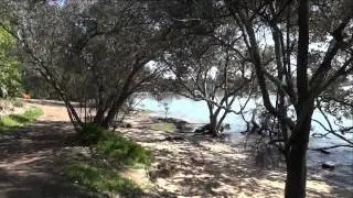 Down by the river. Roy Buchannan