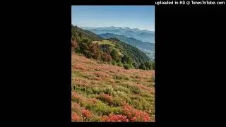 Bichod ko ghau le jalaucha sadhoi Nepali song ft.Krishna